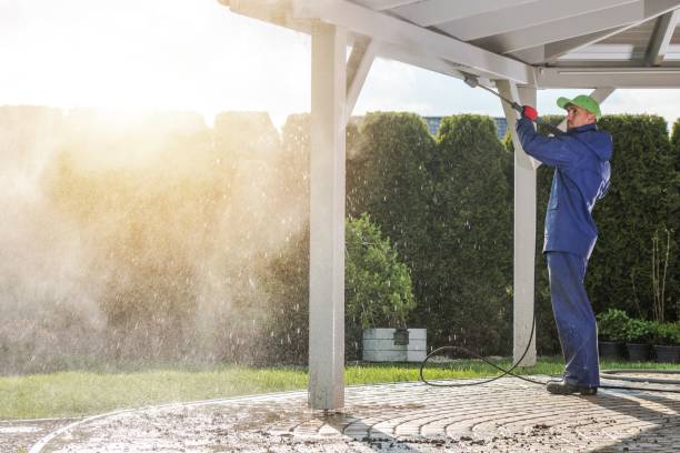 Best Roof Washing  in Waverly, NY